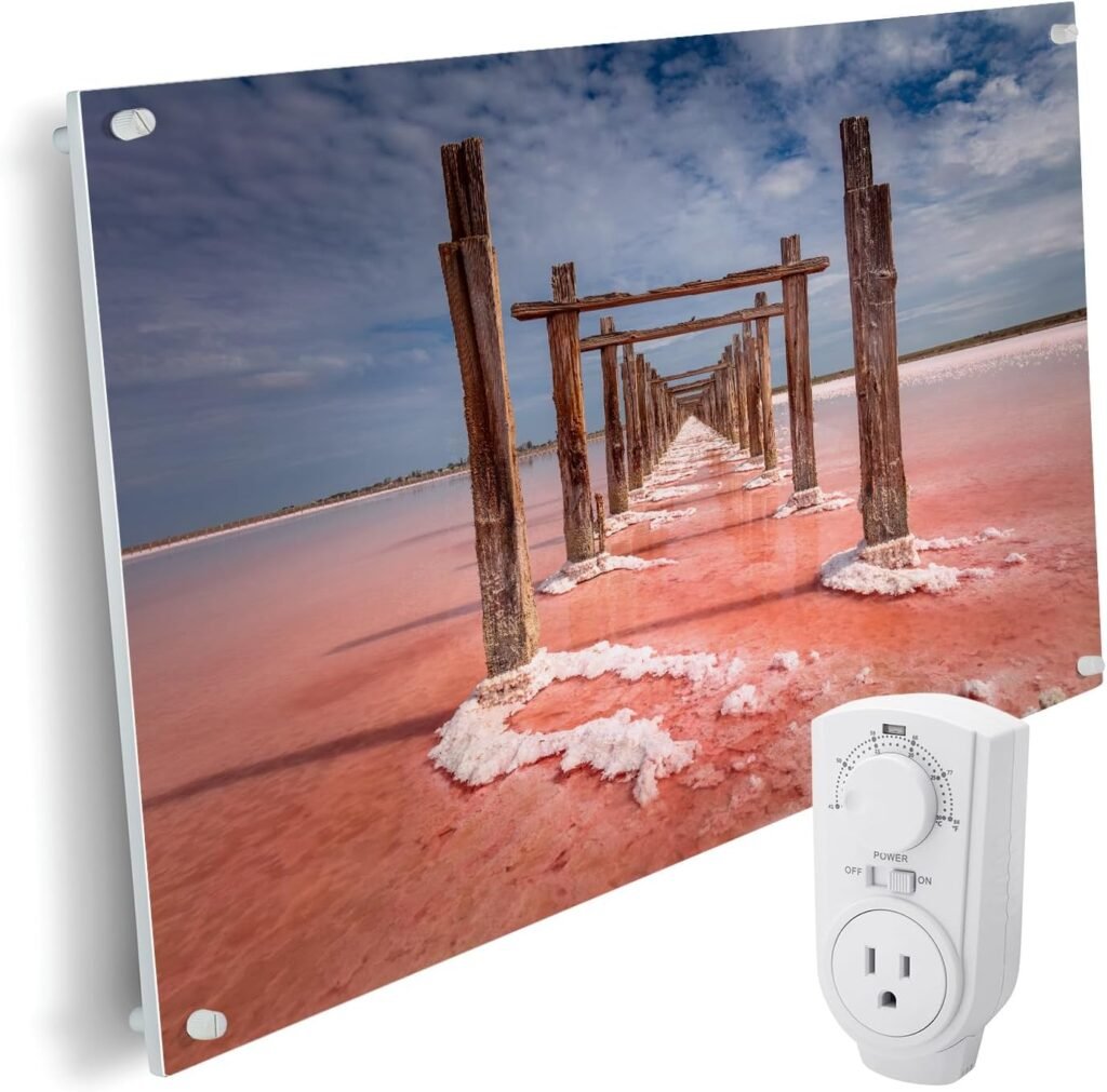 EconoHome Wall Mount Space Heater Panel - with Thermostat - 600 Watt Convection Heater - Ideal for 200 Sq Ft Room - 120V Electric Heater